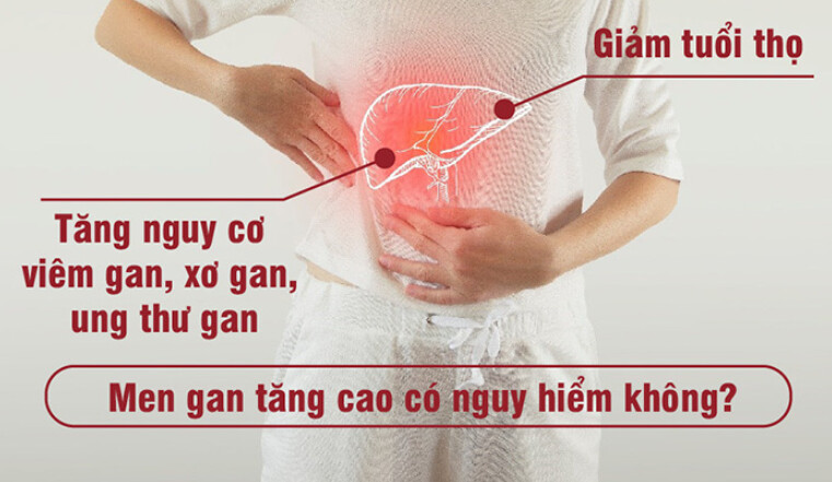 Men gan cao có nguy hiểm không? Đây là dấu hiệu của các bệnh lý gan nghiêm trọng