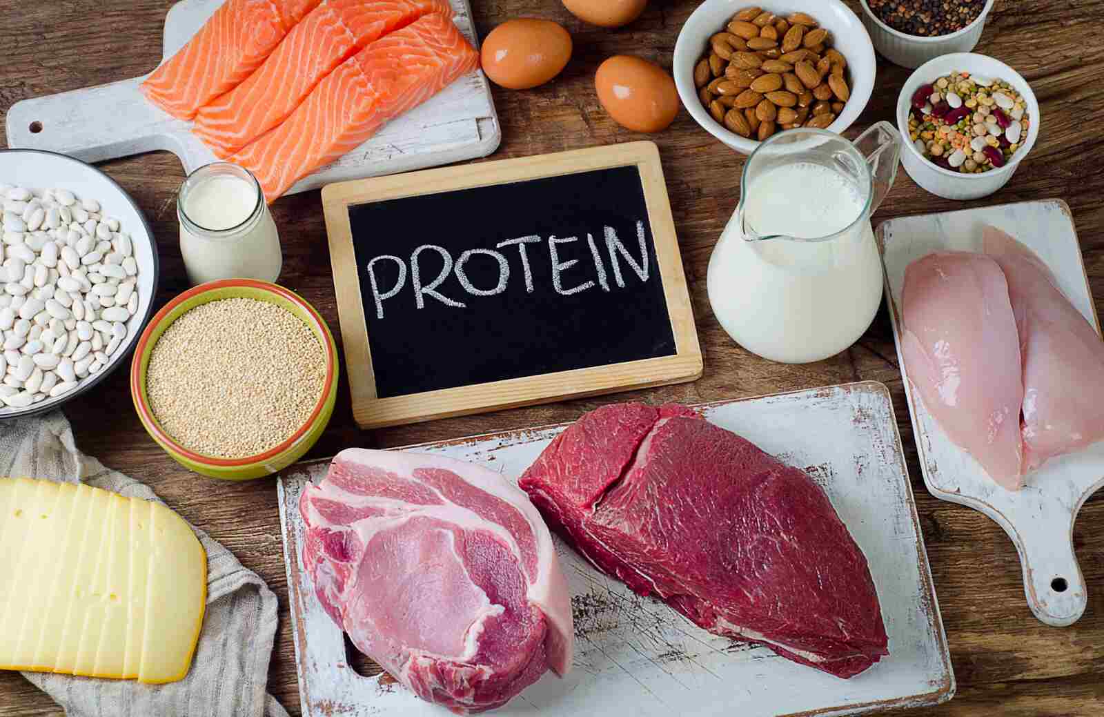 Protein góp phần xây dựng, duy trì khối cơ, chữa lành và tái tạo lại các tế bào đã mất