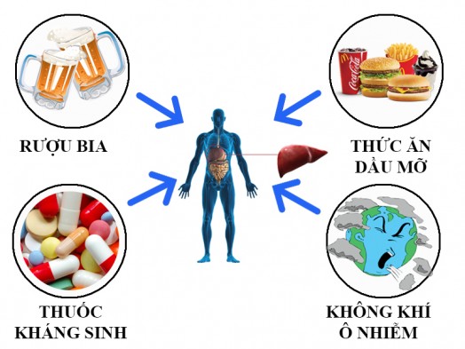 Một số nguyên nhân phổ biến gây nóng gan